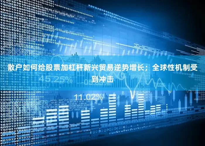 散户如何给股票加杠杆新兴贸易逆势增长；全球性机制受到冲击