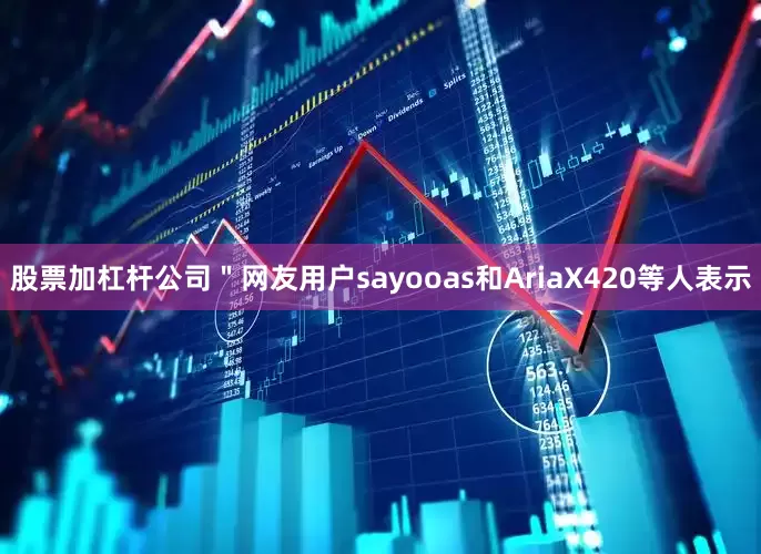 股票加杠杆公司＂网友用户sayooas和AriaX420等人表示
