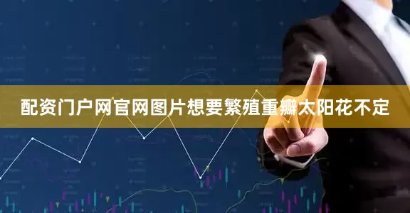 配资门户网官网图片想要繁殖重瓣太阳花不定