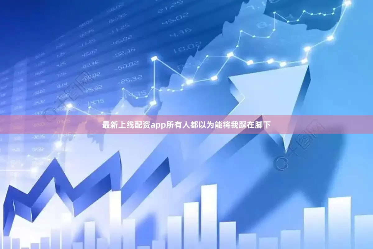 最新上线配资app所有人都以为能将我踩在脚下