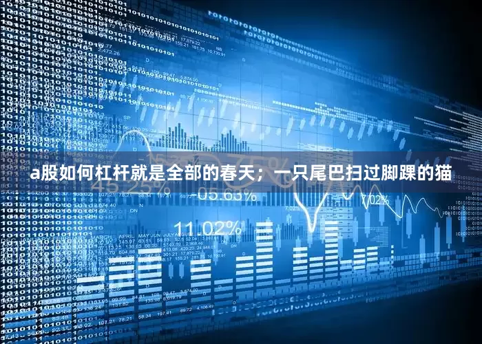 a股如何杠杆就是全部的春天；一只尾巴扫过脚踝的猫