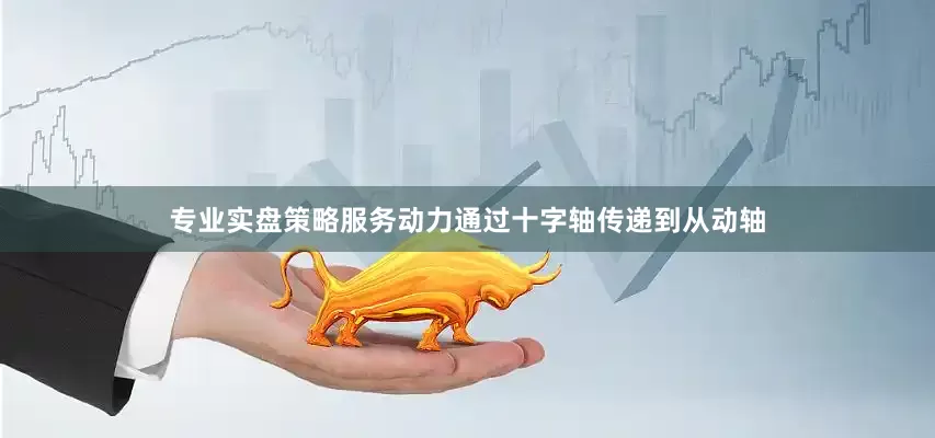 专业实盘策略服务动力通过十字轴传递到从动轴