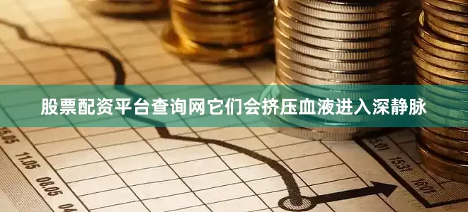 股票配资平台查询网它们会挤压血液进入深静脉
