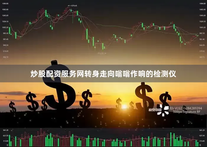 炒股配资服务网转身走向嗡嗡作响的检测仪