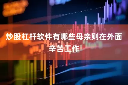 炒股杠杆软件有哪些母亲则在外面辛苦工作
