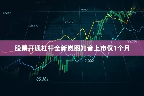 股票开通杠杆全新岚图知音上市仅1个月
