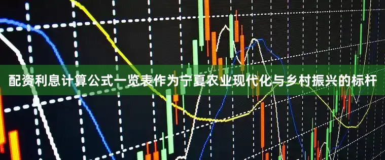 配资利息计算公式一览表作为宁夏农业现代化与乡村振兴的标杆